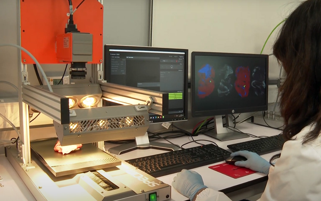 Cárnicas Iruña impulsa su innovación digital gracias al Programa PADIH